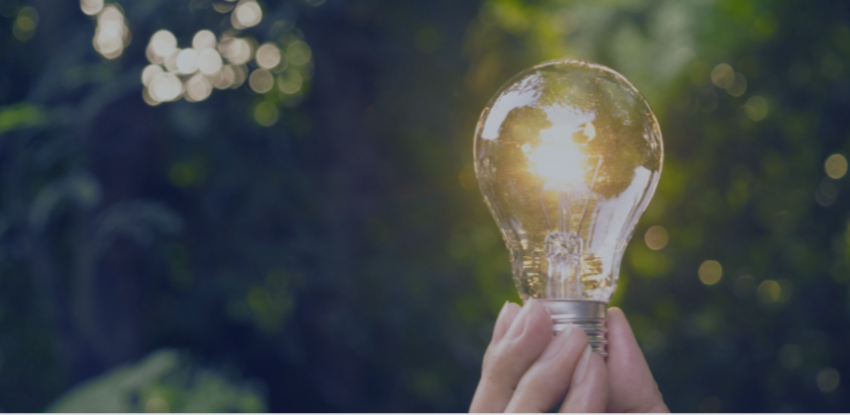 holding lightbulb (2)